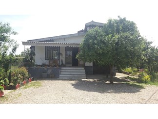 رزرو ویلا نزدیک جنگل دالخانی