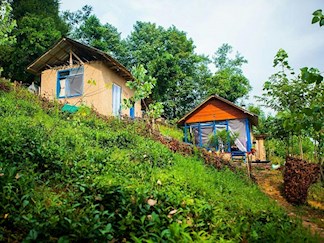 کلبه جنگلی پرداروم در تنکابن