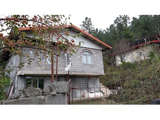 اجاره ویلای جنگلی در تالش