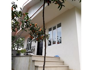 اجاره ویلای جنگلی آستارا