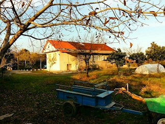 اجاره خانه روستایی در تالش