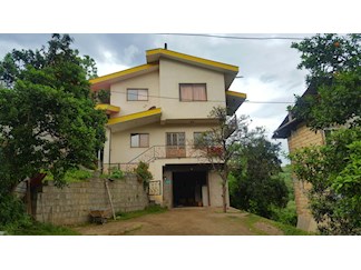 کرایه ویلا در جنگل دالیخانی