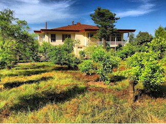 رزرو ویلای جنگلی در اربکله