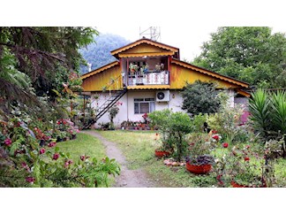 ویلای جنگلی در اسالم