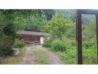 کرایه ویلای جنگلی لب رودخانه