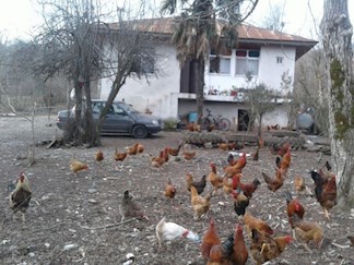 خانه روستایی نزدیک رودبار