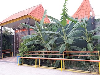 اجاره ویلا با استخر آبگرم دزفول