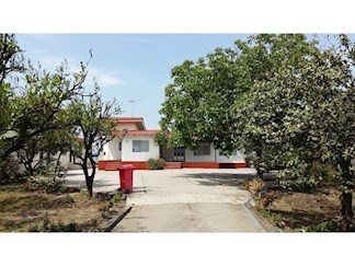 اجاره ویلا لب ساحل در چالوس