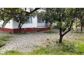 اجاره ویلای ساحلی در چالوس