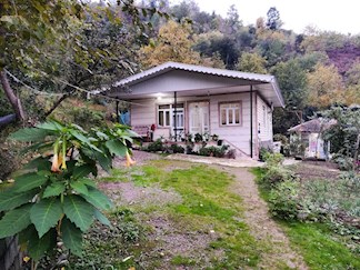 ویلا دربست جنگلی در لیسار