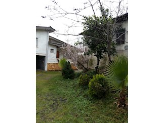 اجاره ویلا جنگلی نزدیک رامسر