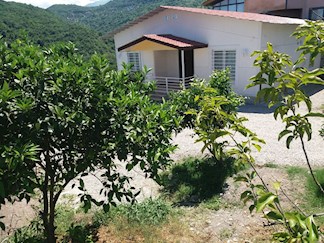 اجاره ویلا جنگلی در اربکله رامسر