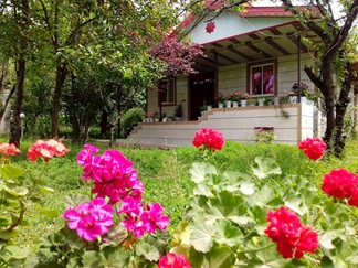 اجاره ویلا باغ جنگلی در ماسال