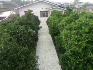 اجاره باغ ویلای دربست در تالش