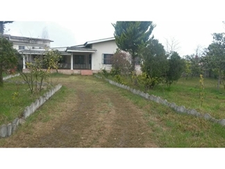 اجاره ویلا باغ در رامسر