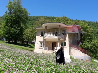 اجاره ویلا ییلاقی در تالش