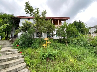 اجاره ویلا در جاده جنگلی دالیخانی