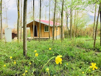 اجاره کلبه چوبی جنگلی در شاندرمن