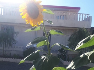 اجاره ویلا استخردار در همدان