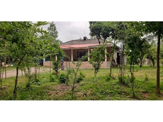 اجاره ویلای جنگلی در گیسوم