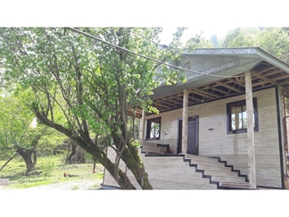 اجاره ویلای جنگلی در ماسال