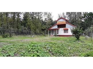 اجاره ویلای جنگلی در تالش