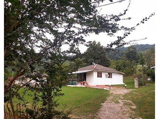 اجاره ویلا در ماسال در جنگل