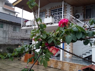 اجاره ویلا رامسر با استخر سرپوشیده