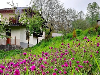 اجاره خانه سنتی جواهرده رامسر