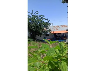 اجاره اقامتگاه ونوشه در فیلبند