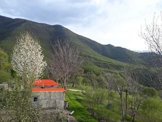 اجاره خانه باغ در کلیبر با استخر