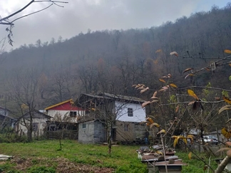 اقامتگاه بومگردی غوزک رودبار