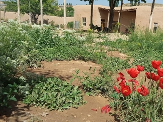 اقامتگاه بوم گردی آنا آتا