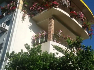 اقامتگاه در تنکابن با ویوی جنگل