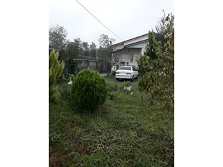 اجاره ویلا باغ در رودسر