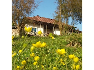 اقامتگاه بومگردی دم زنون