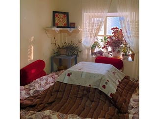 اقامتگاه بومگردی خانه گردو