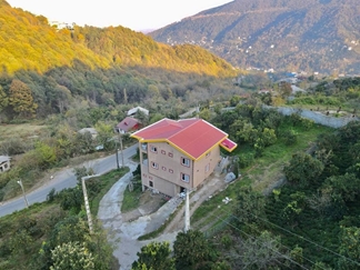 اجاره ویلا استخردار جنگل دالیخانی