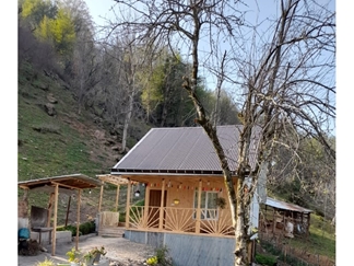 اجاره کلبه جنگلی در ماسال