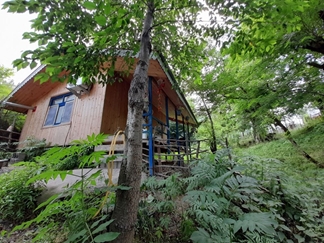 کلبه چوبی جنگلی ییلاقات ماسال