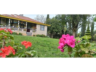 رزرو ویلا باغ با چشم انداز جنگلی