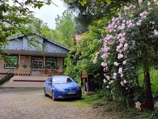 اجاره ویلا ماسال در دل جنگل