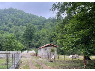 اقامتگاه جنگلی در شاندرمن گیلان