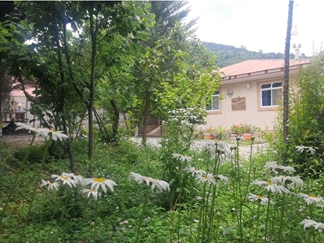 اجاره ویلا باغ جنگلی شاندرمن