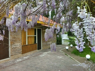 اجاره ویلا در شهرک دریاکنار