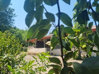 اجاره خانه روستایی جنگلی در ماسال
