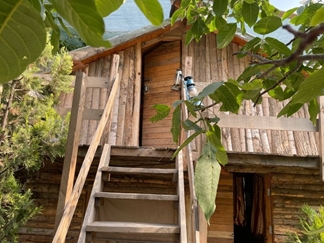 مجموعه بومگردی ارگ سنگی سنگان