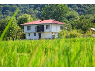 ویلا ماسال چشم انداز جنگل و شالیزار