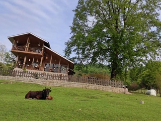 اجاره ویلا ماسال روستای ورمیه