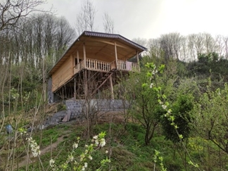 اجاره کلبه چوبی جنگلی در سوادکوه